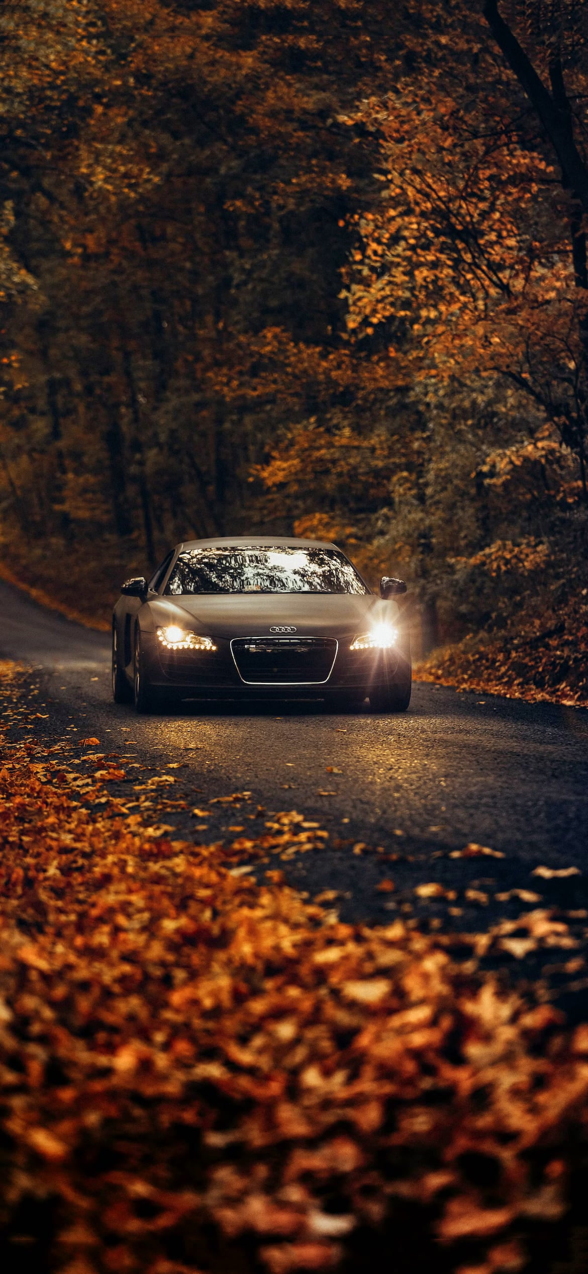 Audi R8 Wallpapers