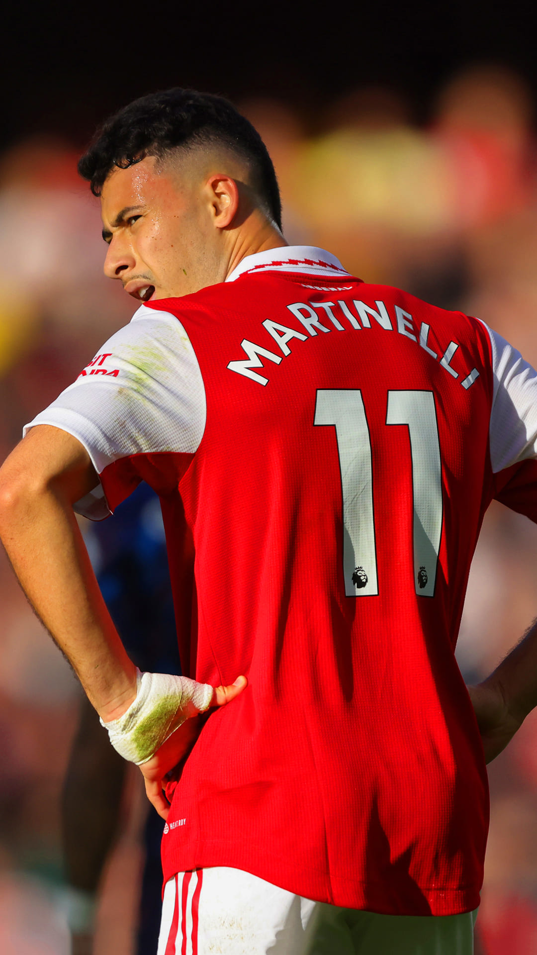 Martinelli Wallpapers