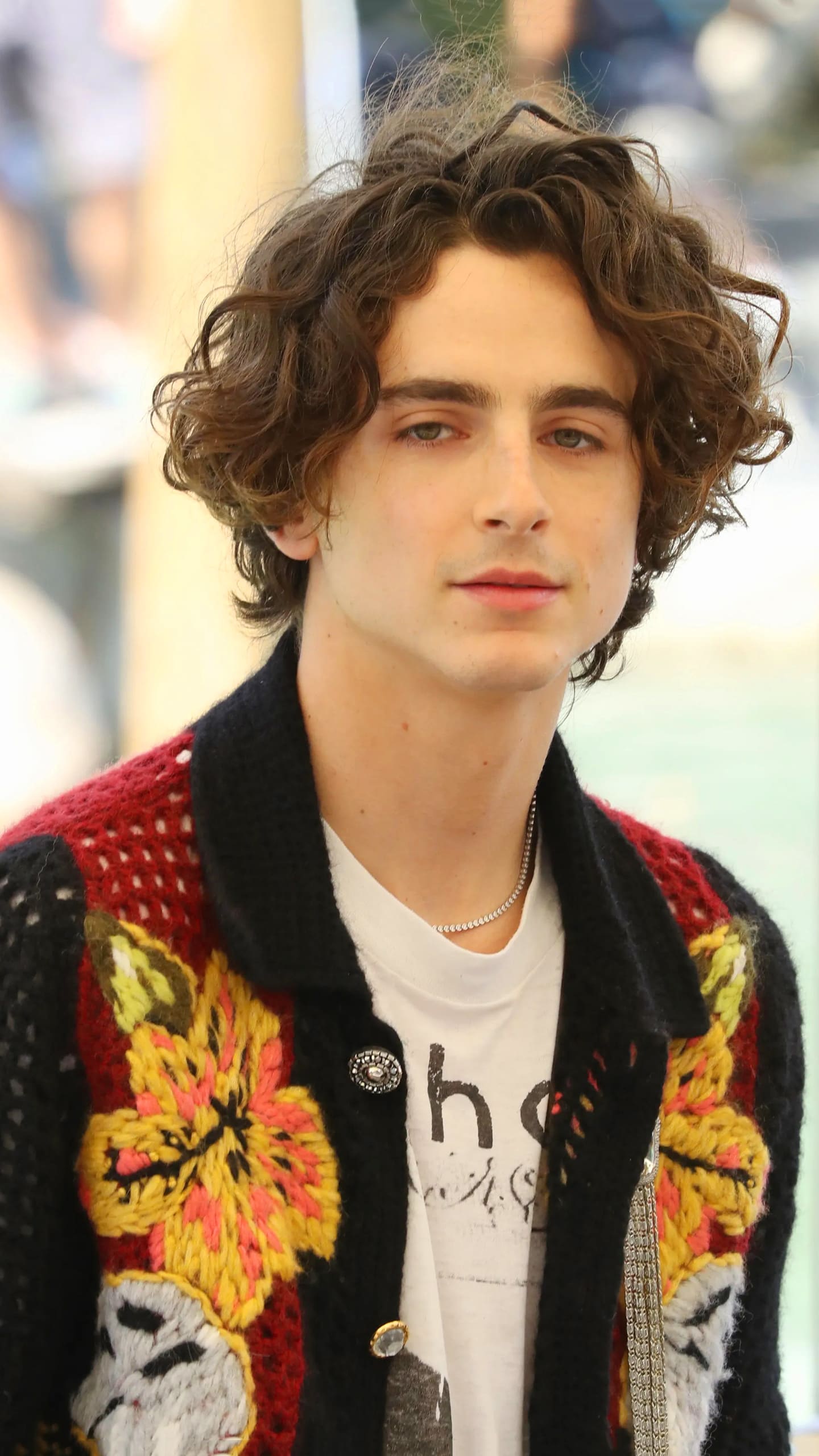 Timothee Chalamet Wallpapers