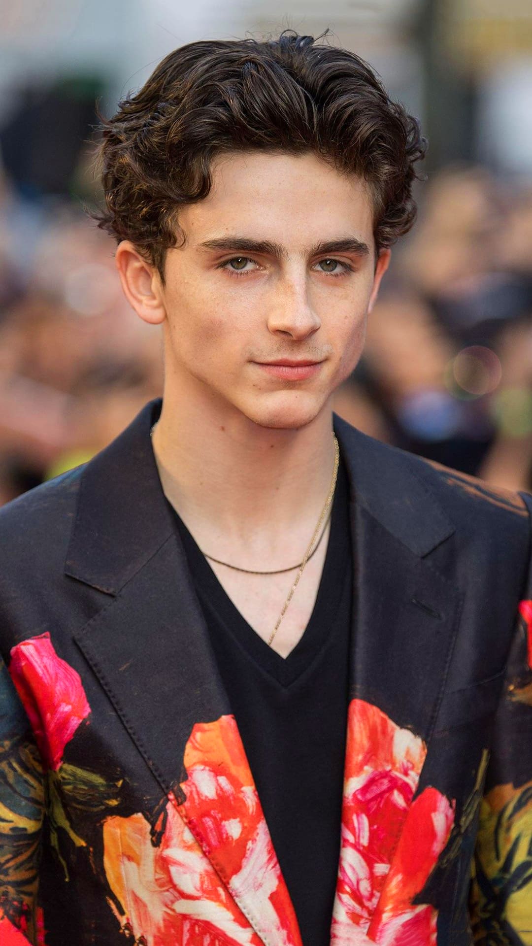 Timothee Chalamet Wallpapers