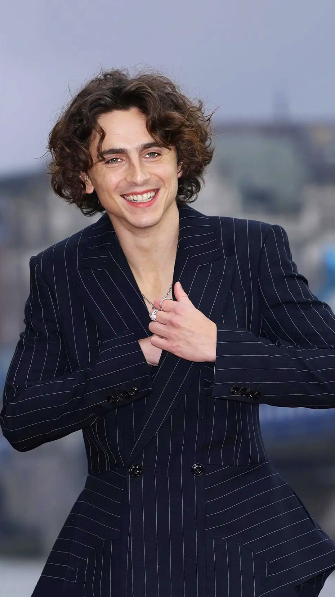 Timothee Chalamet Wallpapers