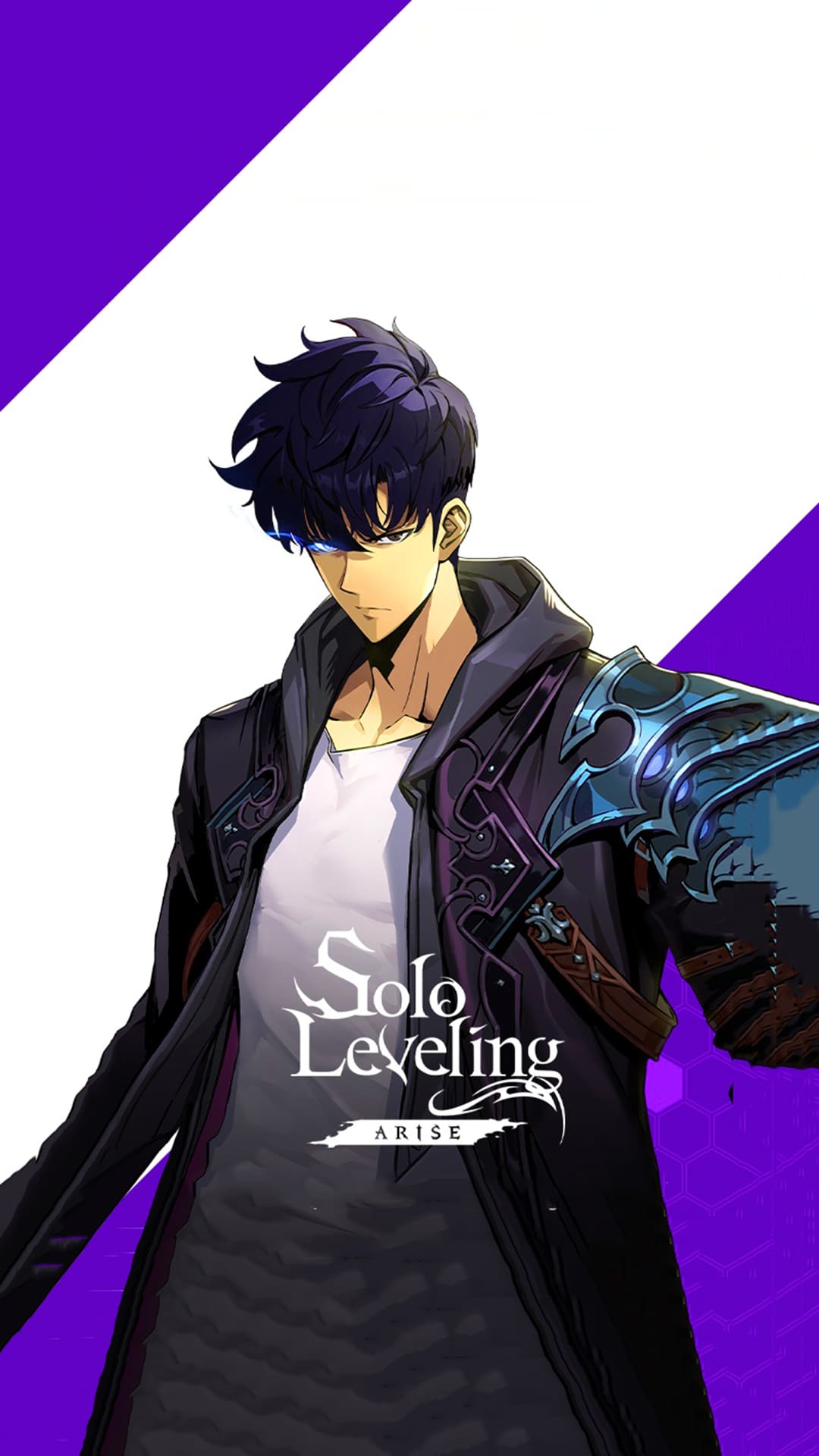 Solo Leveling Arise Wallpapers