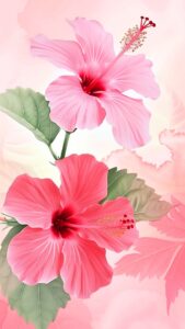 Hibiscus Flower Wallpapers