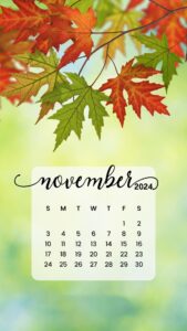 November 2024 Calendar Wallpapers