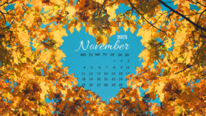 November 2024 Wallpapers