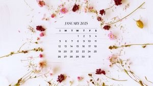 January 2025 Wallpapers